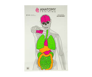 ACTION TGT ANATOMY TRNG 100PK