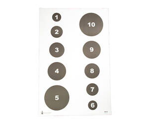 ACTION TGT CIR COMMAND TRNG 100PK