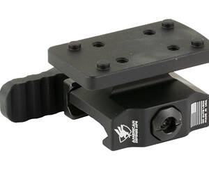 AM DEF LW TR DPP/EFLX QD CO-WITNESS