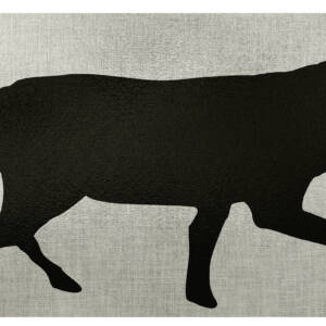 ALLEN EZ AIM THERMAL ID COYOTE 24X12 TARGET