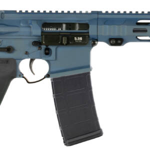 APF 5.56 PISTOL 2.0 10.5 NORTHERN LIGHTS