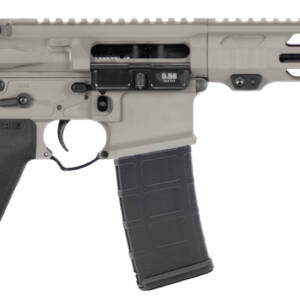 APF 5.56 PISTOL 2.0 10.5 GRAY MLOK