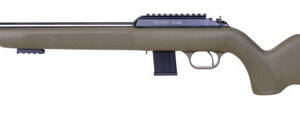 BLG DIANA R-22 22LR CLASSIC ODG