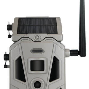 BUS CELLUCORE 20 SOLAR DUAL SIM TAN