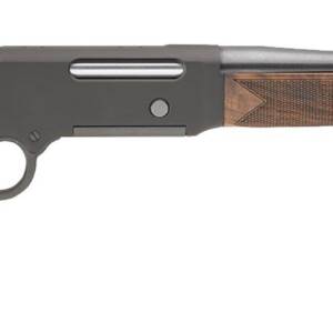 HENRY REPEATING ARMS LONG RANGER 223REM OPEN SIGHTS