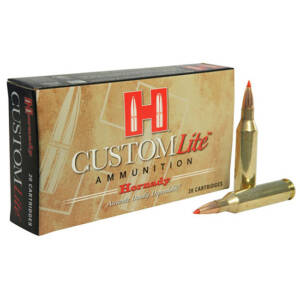 HORN CUSTOM LITE 243WIN 87GR SST 20/10