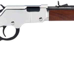 HENRY SILVER BOY 22LR YOUTH 17