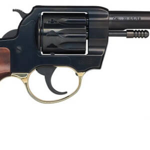 HENRY GOLDEN BOY 22LR BIRDSHEAD 4 10RD