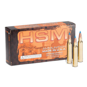 HSM VARMINT 243WIN 75GR V-MAX 20/25