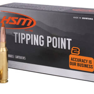 HSM TIPPING POINT 2 280REM 162GR SST 20/20