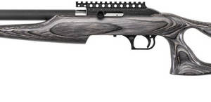 MR SWITCHBOLT 22LR 17 GRAPHITE PEPPER LAM