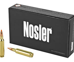 NOSLER 22NOS 55GR BT 20/200