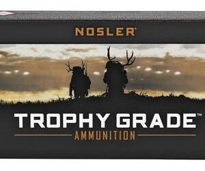 NOSLER TG 243WIN 100GR PT 20/200