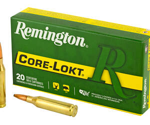 REM 243WIN 100GR PSP CL 20/200