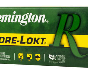 REM 3030WIN 150GR SP CL 20/200