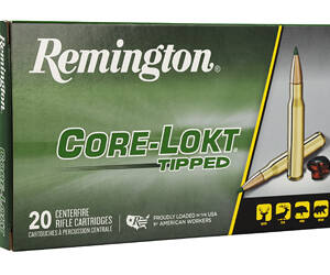 REM CORE-LOKT TPPD 7MM 175GR 20/200