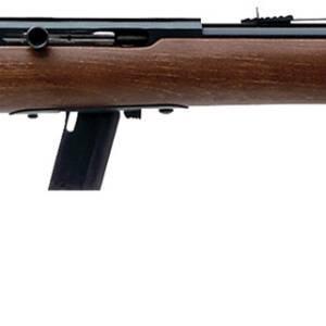 SAV 64 G 22LR 21 BLUED HARDWOOD AS 10RD