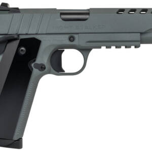 TISAS 1911 NIGHT STALKER 45 45ACP 5 GREY 2 8RD