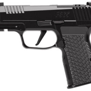 SIG P365 LUXE 380ACP BLK 3.1 OR AXG COMP 12RD