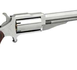 NORTH AMERICAN ARMS THE EARL 22LR/22MAG 4" SS 5SH#