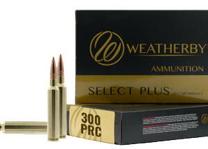 WBY AMMO 300PRC 205GR ELITE HUNTER 20/10