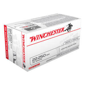 WIN USA 22-250 45GR JHP 40/10