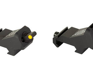 XS XTI2 DXS STANDARD DOT ORN