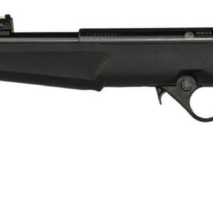 ROSSI RB22 22LR BLK/SYN FLAG 16.5" #