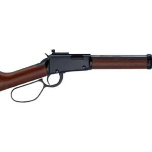 HENRY REPEATING ARMS LEVER SMALL GAME CARB 22LR   #