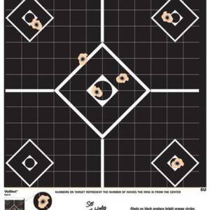 Champion VisiShot Targets Sight-In Target - 13" X 18" 10/Pack
