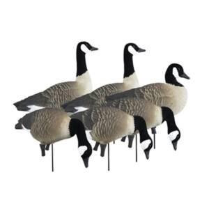 Higdon Outdoors APEX Full-Size Full-Body Variety Pack - Canada Goose