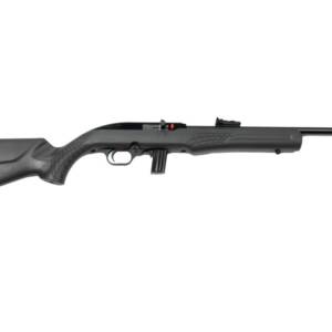 ROSSI RS22 22LR BLK/GRAY 18" 10+1  #