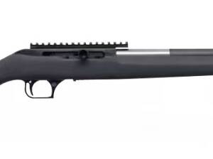 MAGNUM RESEARCH MAGNUM LT 22MAG STRAIGHT PULL