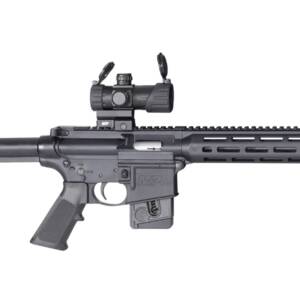 SMITH AND WESSON M&P15-22 SPORT OR 22LR 10+1 CA