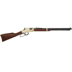 HENRY GOLDEN BOY 17HMR 20 LARGE LOOP