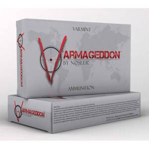 NOS AMMO 243WIN 55GR VGN FBSP 20/10