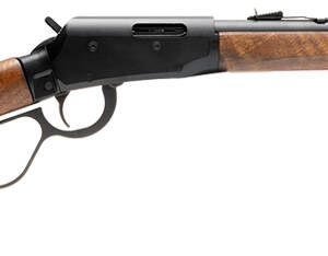 SAV REVEL CLASSIC 17HMR 18