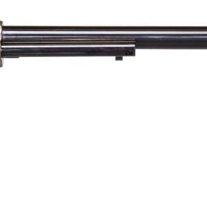 HERITAGE MANUFACTURING 22LR/22M WYATT EARP CCH 12"  #