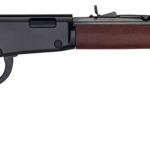 HENRY H1 FRONTIER 17HMR 20 13RD