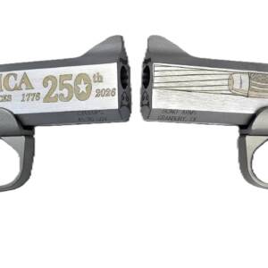 BOND ARMS 250TH REDNECK 45-70 SS 4.25"