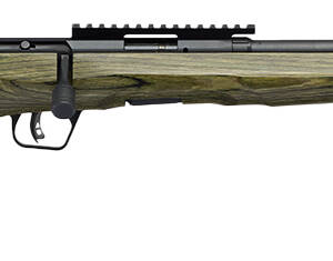 SAV B17 TIMBER TACTICAL 17HMR ODG 18 10RD