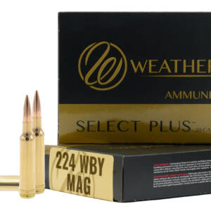 WBY AMMO 224WBY 80.5GR BERGER FBT 20/10