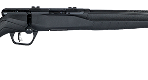 SAVAGE ARMS B17 COMPACT 17HMR BL/SYN 18"
