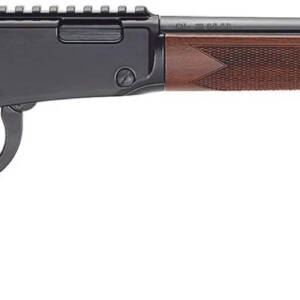HENRY H1 BANDIT 22MAG 18.5