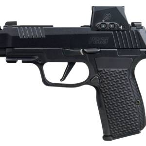SIG SAUER P365 AXG LUXE 380ACP 12+1 ROMX