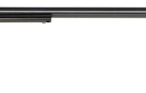 HERITAGE MANUFACTURING RR 22LR COLOR CASE 16" 6RD FS