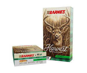 BARNES HARV 30-06 180GR RN 20/200