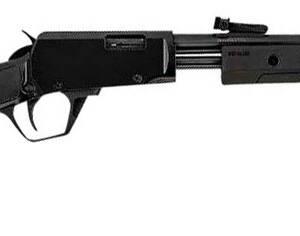 ROSSI GALLERY 22MAG 20 BLUED BLK SYNTHETIC 12RD