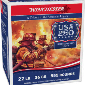 WIN USA 250TH 22LR 36GR COPPER HP 5550RD CASE
