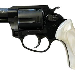 CHARTER ARMS UNDERCOVER LITE 38S BLK/PRL 2"